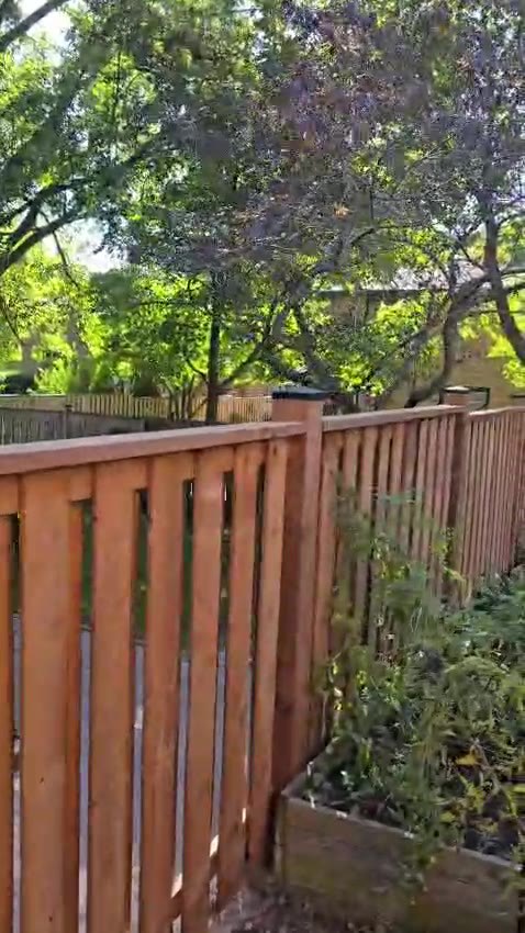 Tall wood fence bordering a garden bed